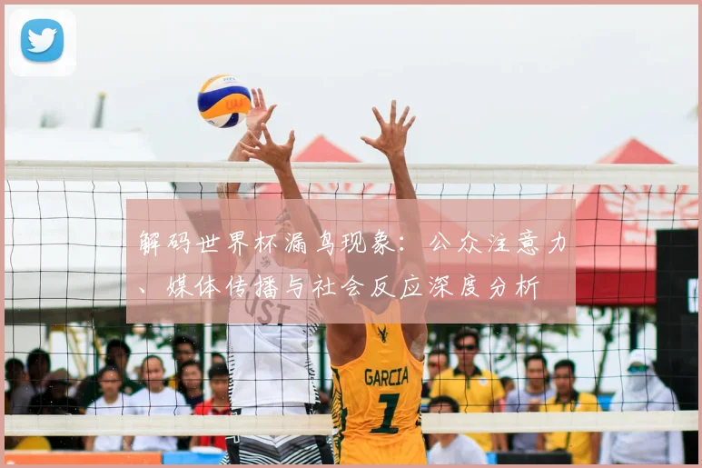 解码世界杯漏鸟现象：公众注意力、媒体传播与社会反应深度分析