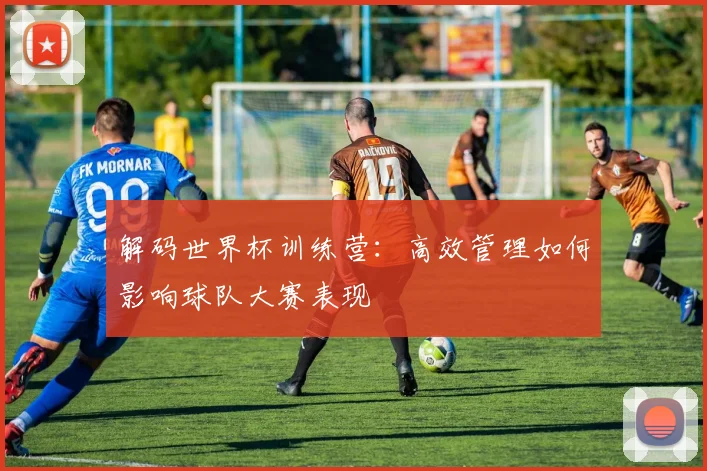 解码世界杯训练营：高效管理如何影响球队大赛表现