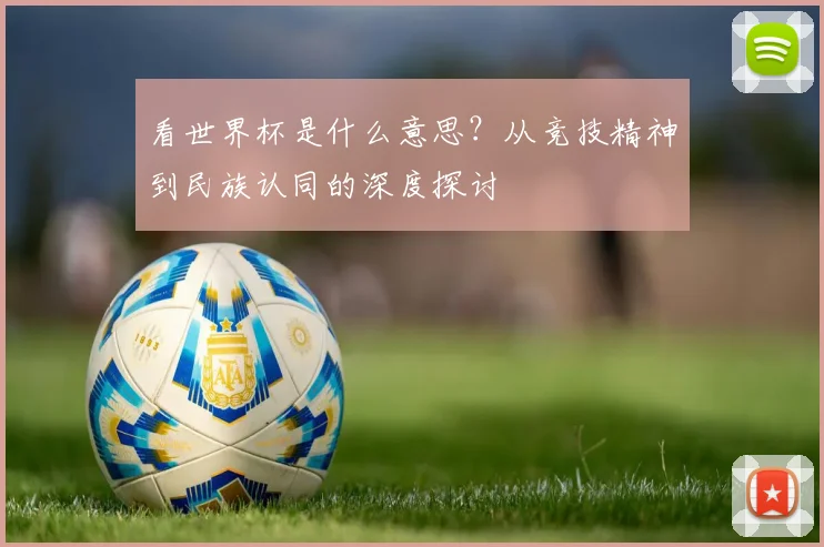 看世界杯是什么意思?从竞技精神到民族认同的深度探讨