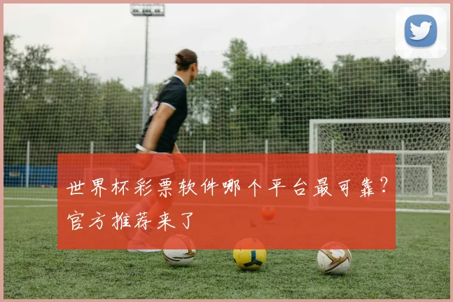 世界杯彩票软件哪个平台最可靠？官方推荐来了