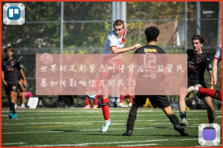 世界杯足彩紧急叫停背后：监管风暴如何影响亿万彩民？