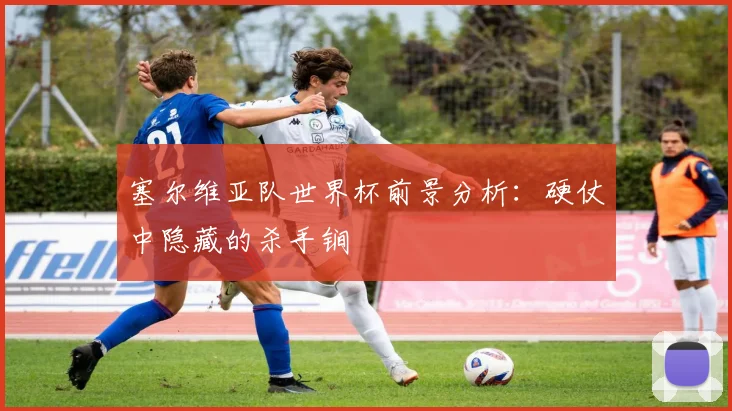 塞尔维亚队世界杯前景分析:硬仗中隐藏的杀手锏