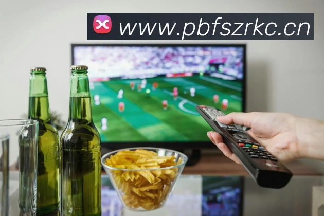 App Interface Preview